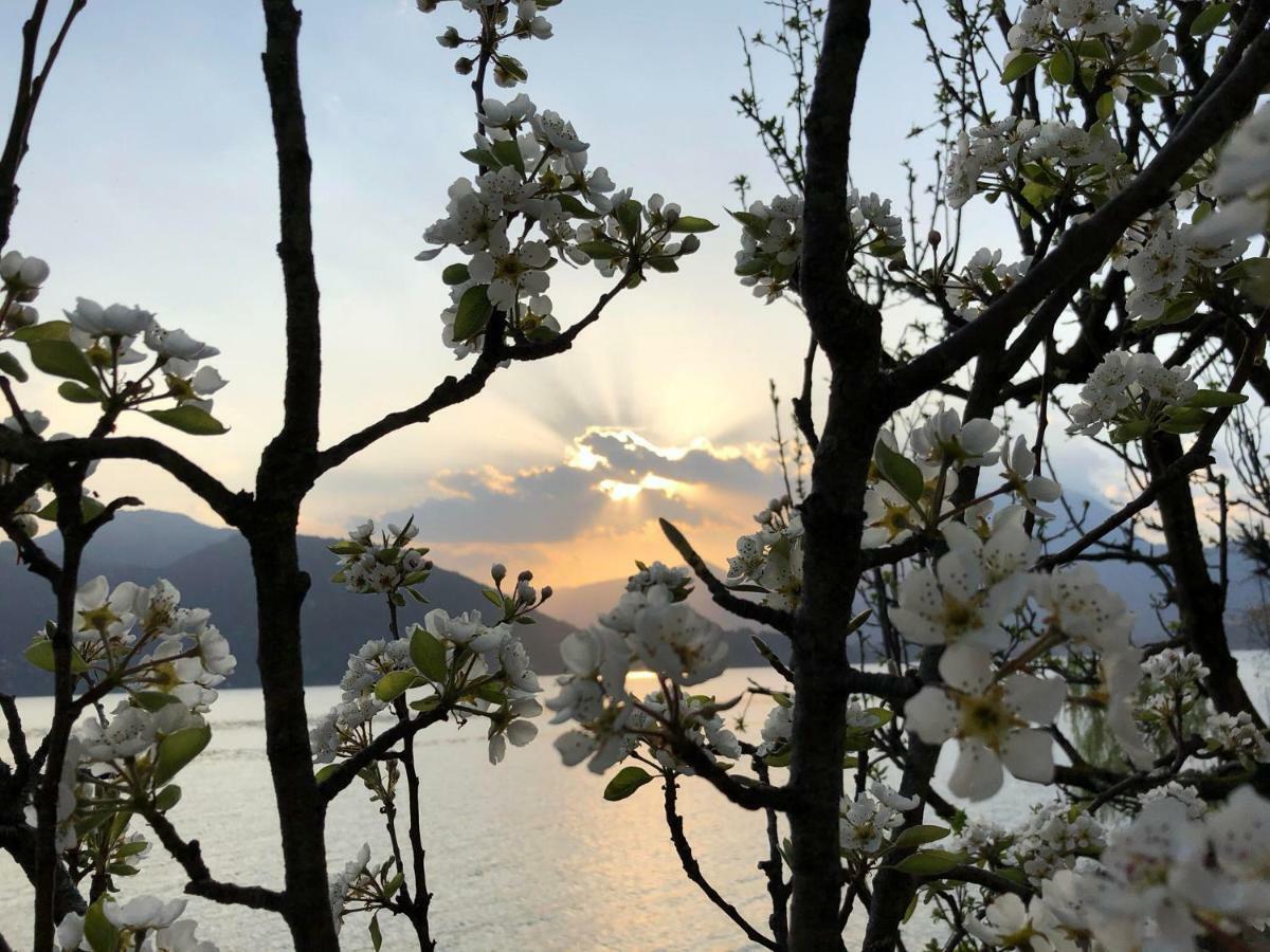 La Casetta Holiday home Varenna